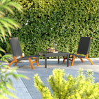 Costa Rica Outdoor Modern Lounge Chair