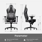 C-L42R Gaming Chair